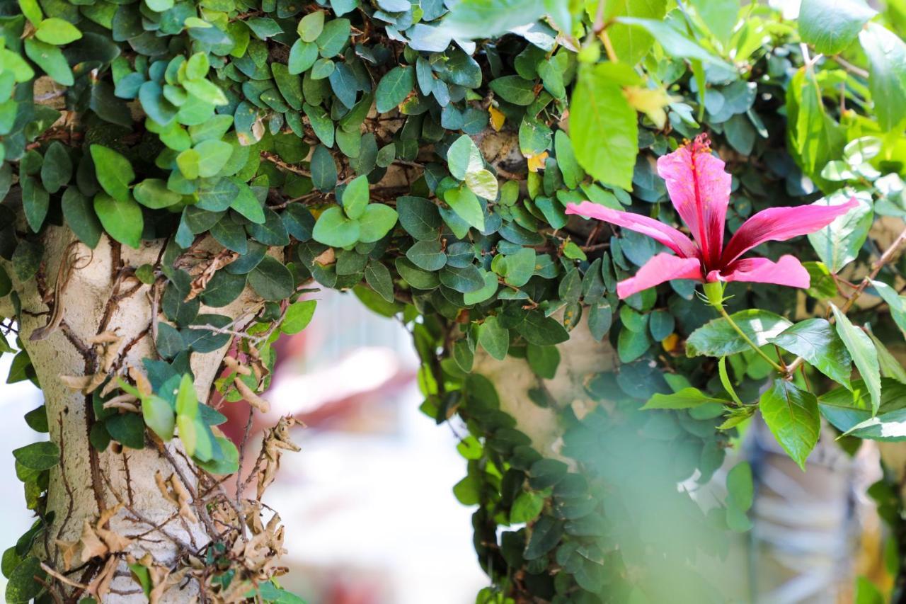 Almond Tree Inn - Adults Only Key West Ngoại thất bức ảnh