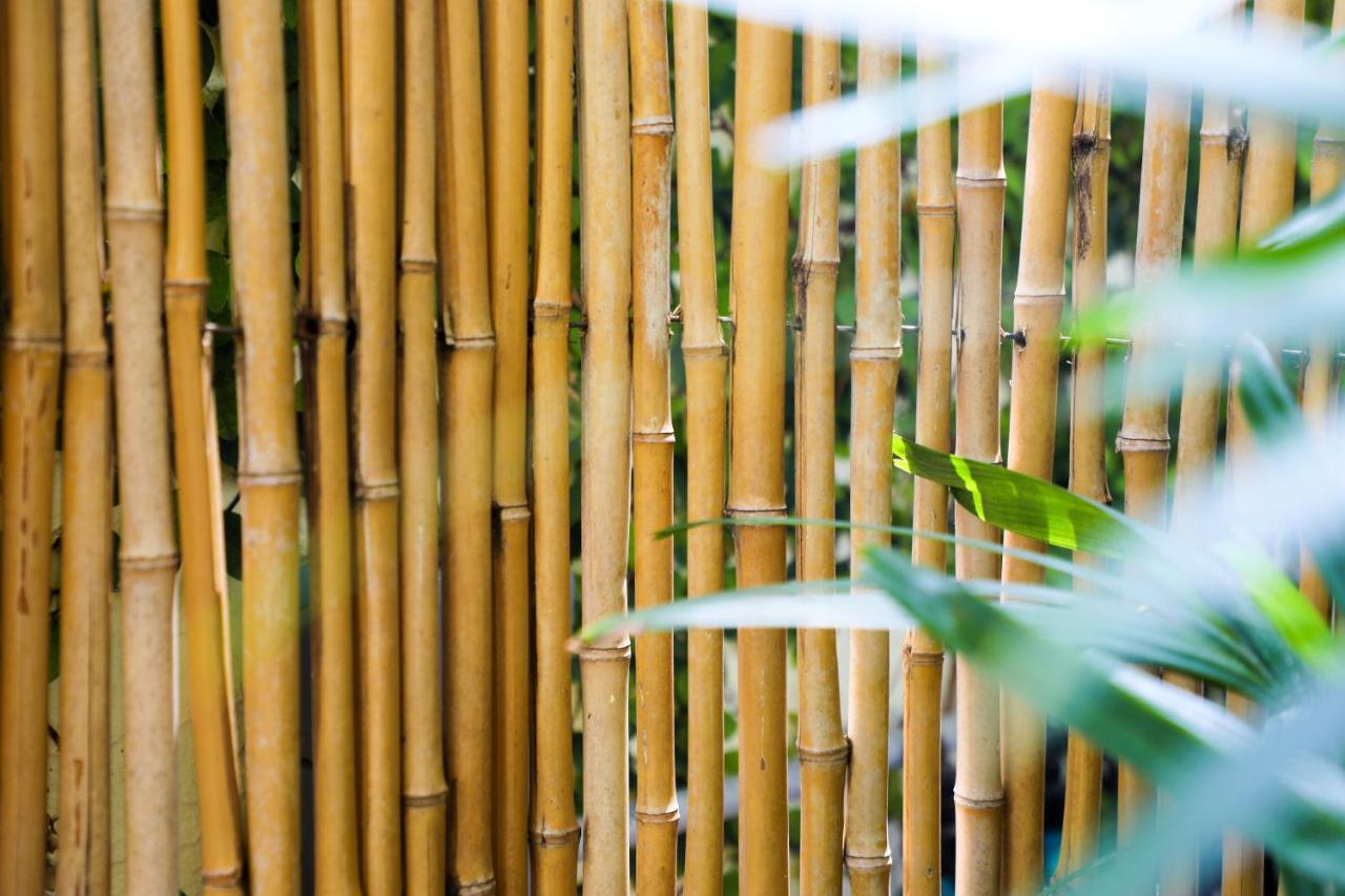 Almond Tree Inn - Adults Only Key West Ngoại thất bức ảnh