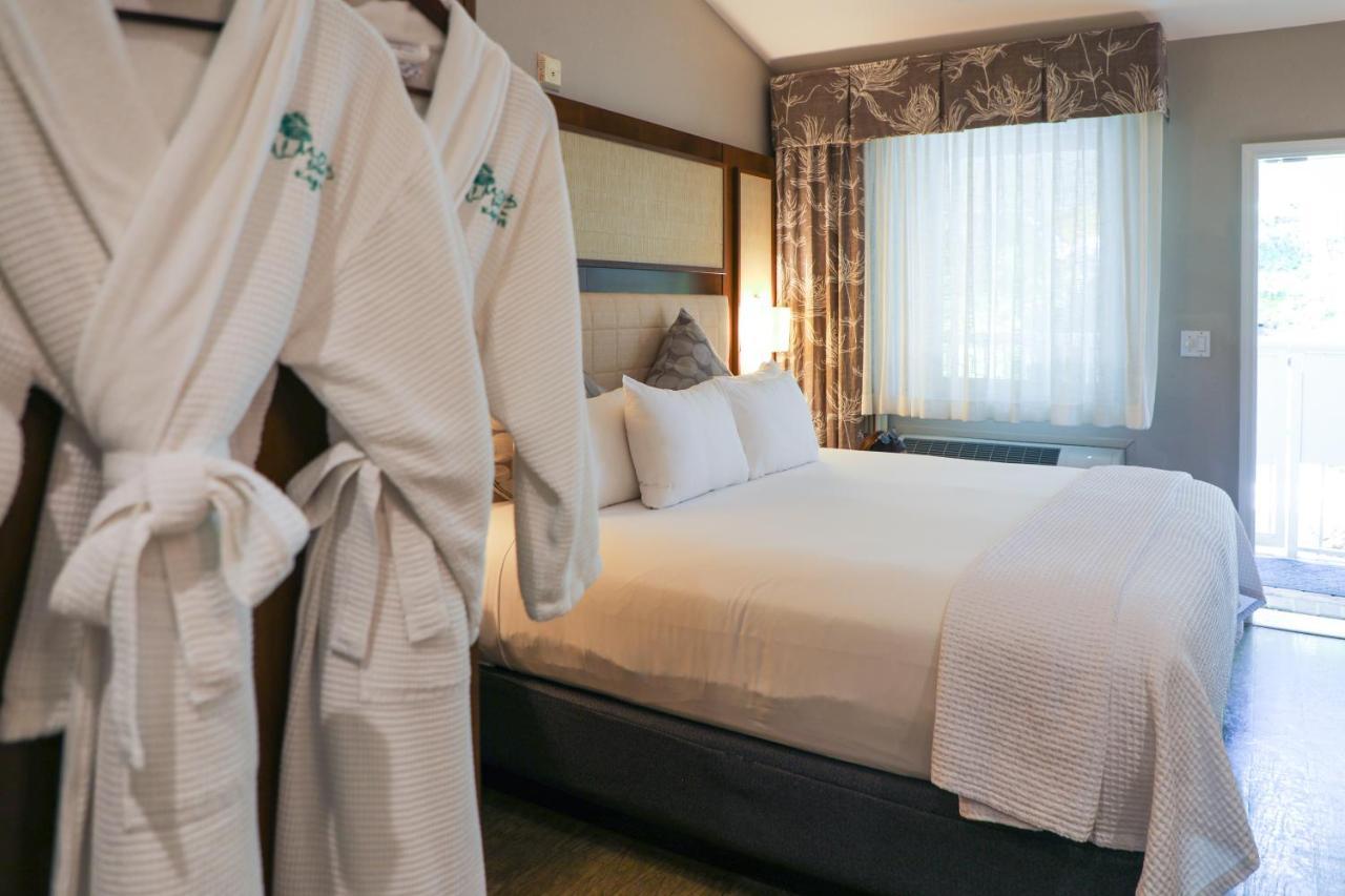 Almond Tree Inn - Adults Only Key West Phòng bức ảnh